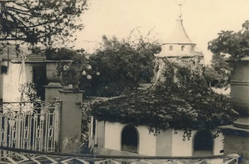 Charca de los patos - La Alameda.